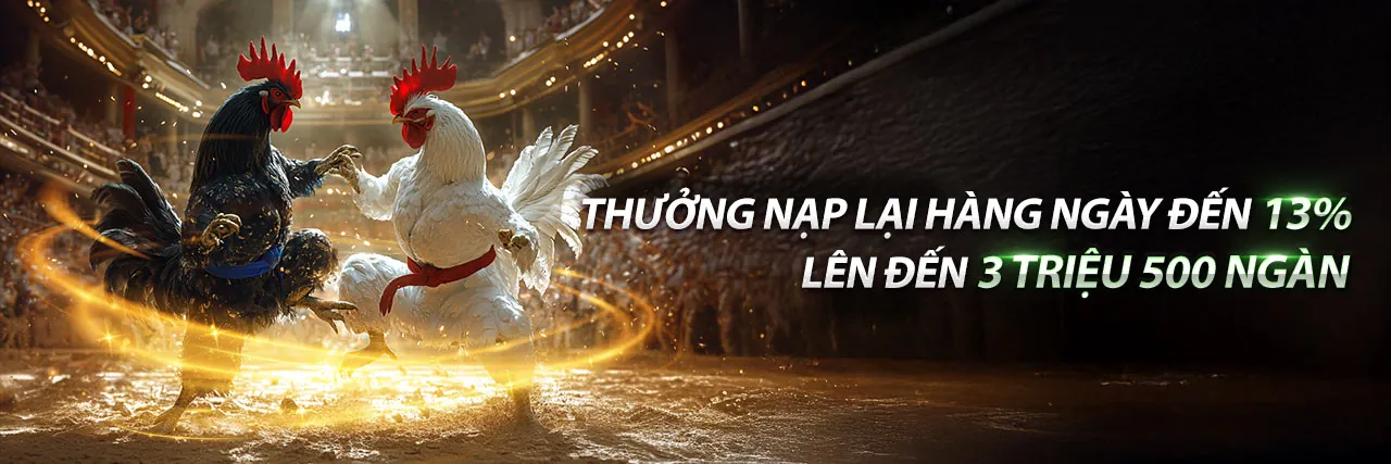 Hoàn trả hàng ngày tại 88cld nhà cái